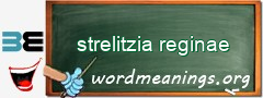 WordMeaning blackboard for strelitzia reginae